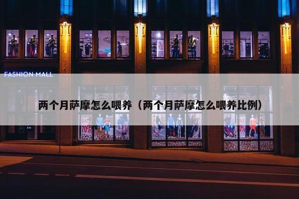 两个月萨摩怎么喂养（两个月萨摩怎么喂养比例）