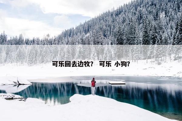 可乐回去边牧？ 可乐 小狗？