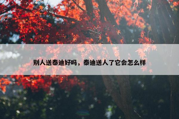 别人送泰迪好吗，泰迪送人了它会怎么样