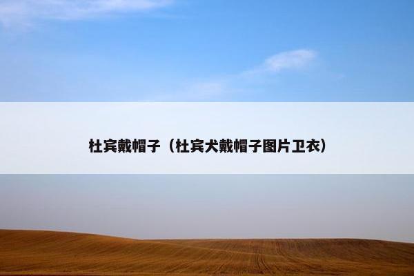 杜宾戴帽子（杜宾犬戴帽子图片卫衣）