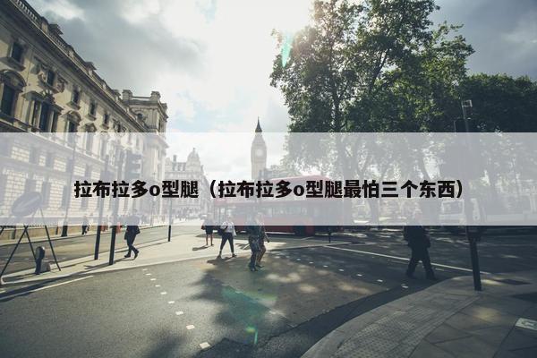 拉布拉多o型腿（拉布拉多o型腿最怕三个东西）