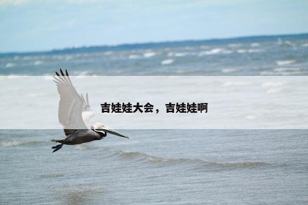 吉娃娃大会，吉娃娃啊