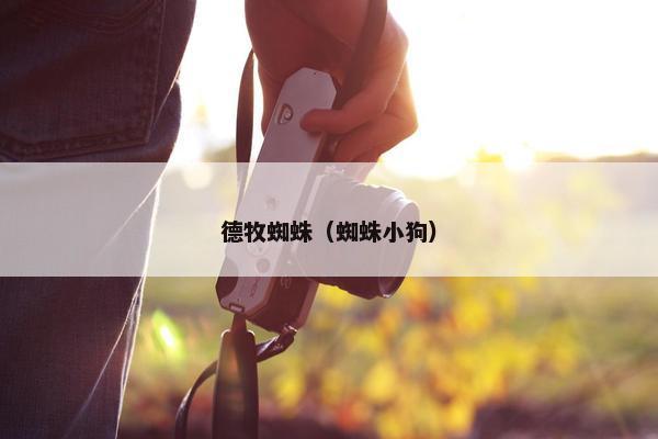 德牧蜘蛛（蜘蛛小狗）